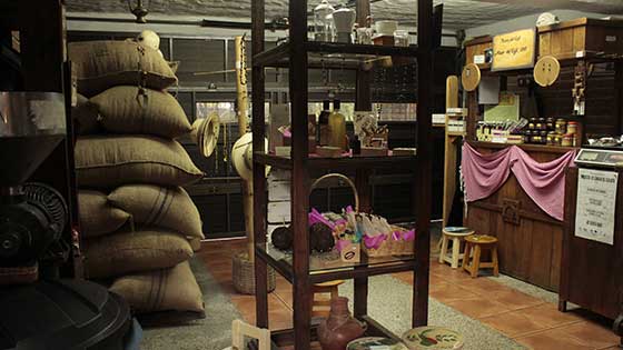 Veracruz - Museo del Café
