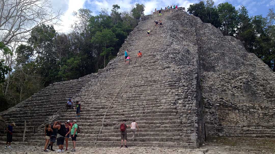 Coba-Papaya-Group-01