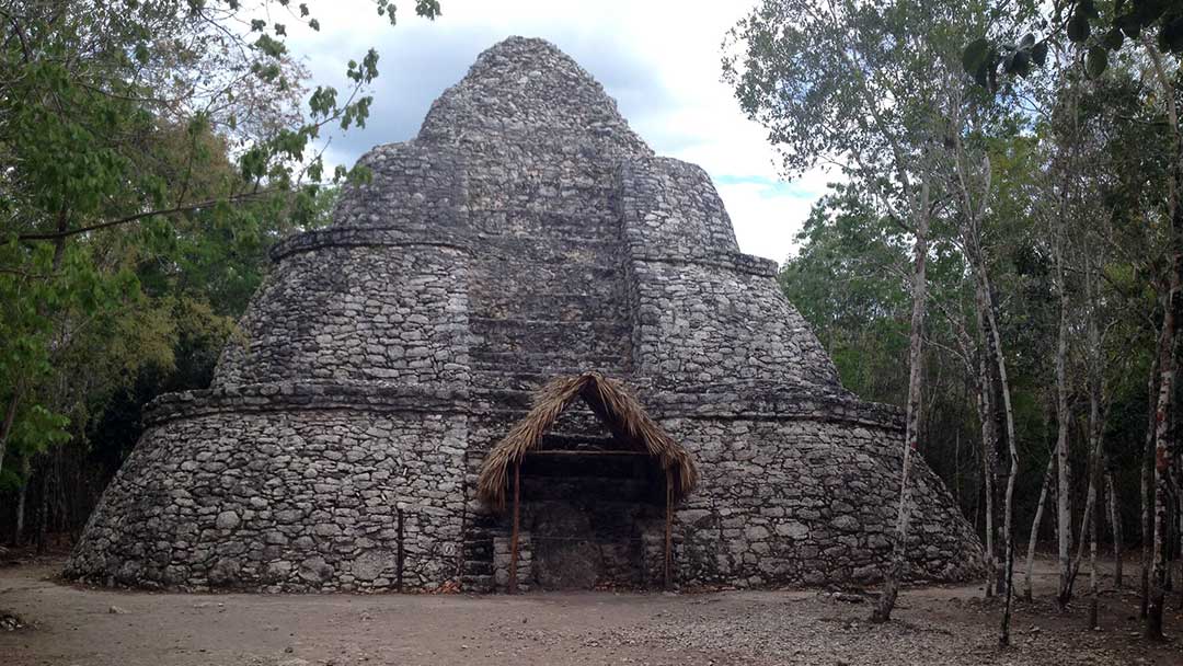 Coba-Papaya-Group-04