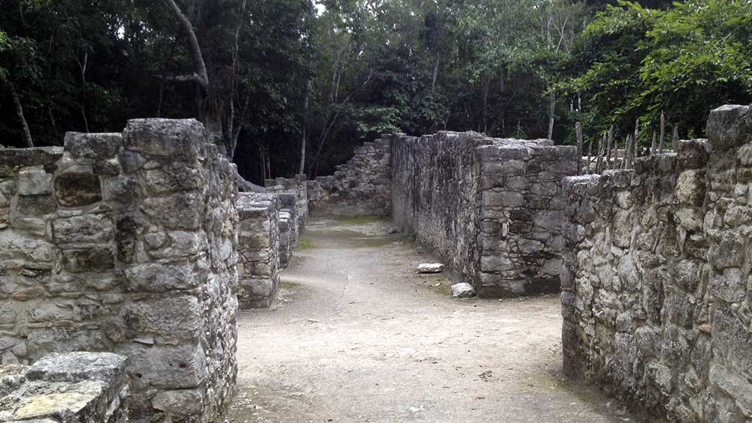 Coba-Papaya-Group-05
