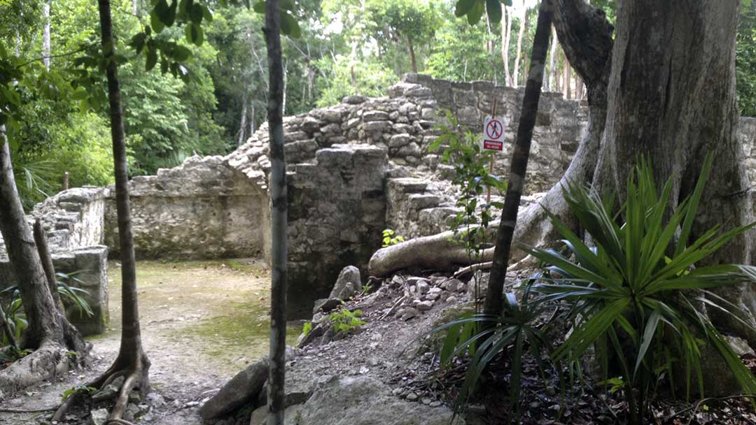 Coba-Papaya-Group-07