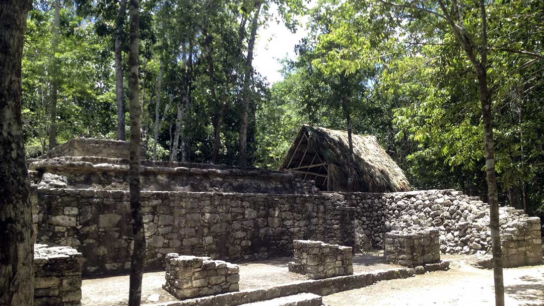 Coba-Papaya-Group-10