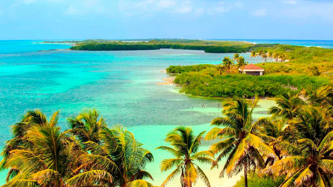 isla-contoy-03