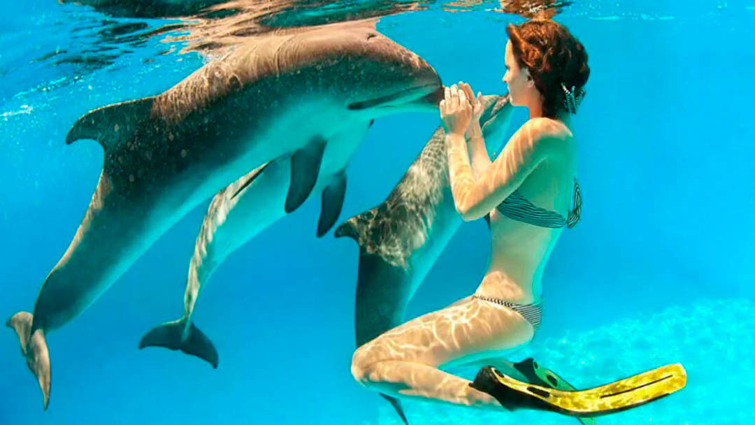 nadar-con-delfines-03