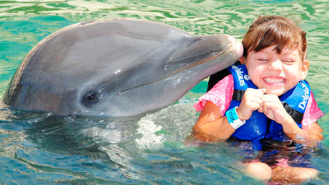 nadar-con-delfines-04