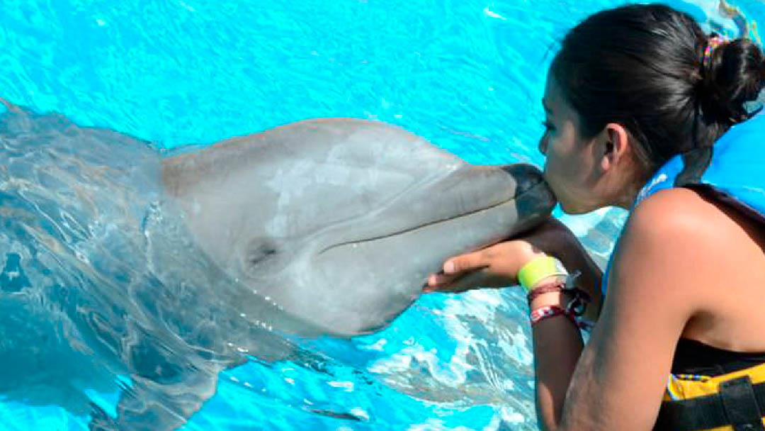 nadar-con-delfines-22
