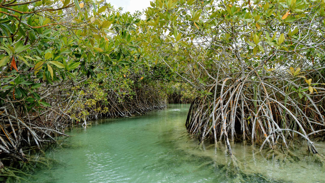 sian-kaan-natura-05