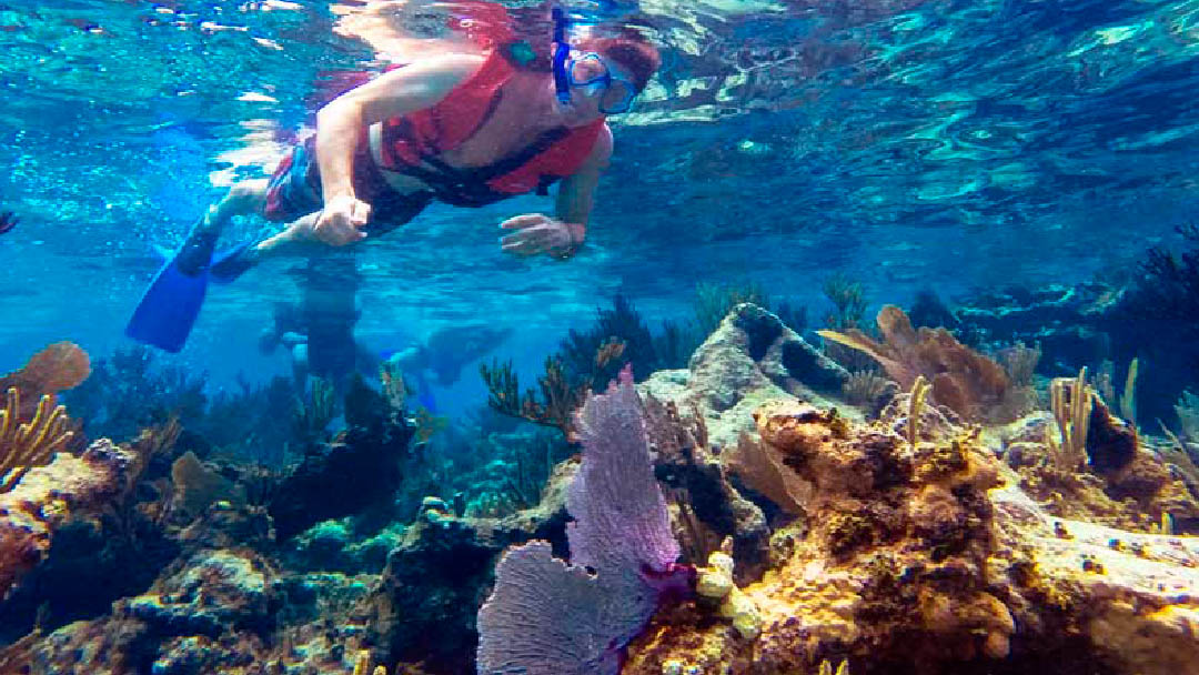 tulum-snorkel-31